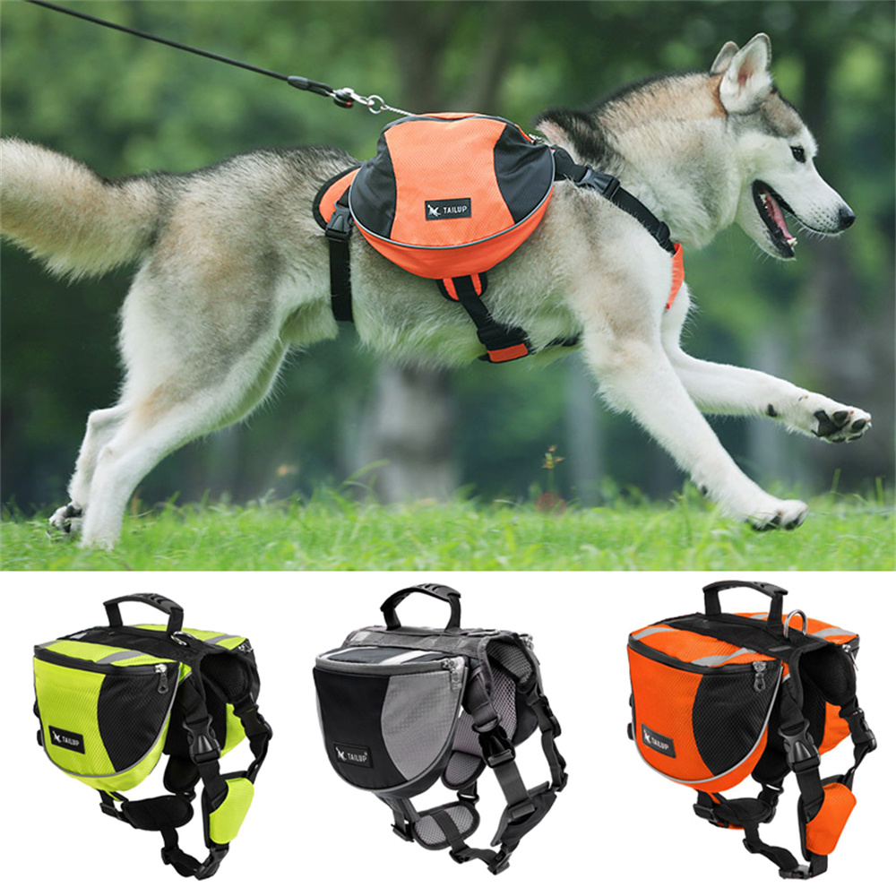 Zaino per Addestramento Cani c - Crossfit Weight Vest recensione e prezzo